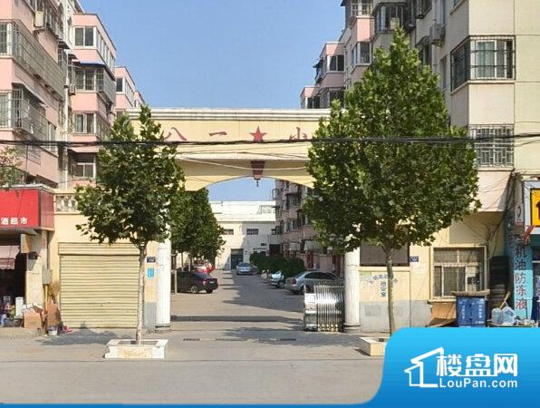 丁香社区最新网址，一站式服务与互动体验的新领地